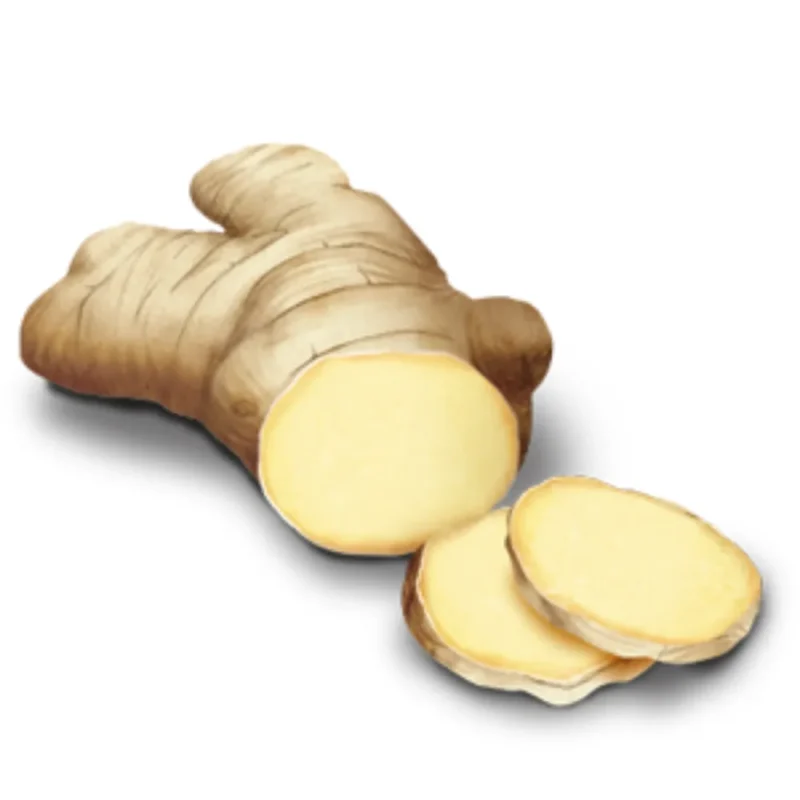 YOGI TEA Classic Chai