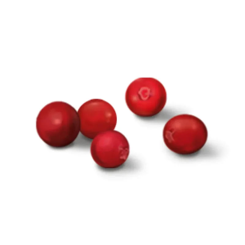 YOGI TEA Positive Energy