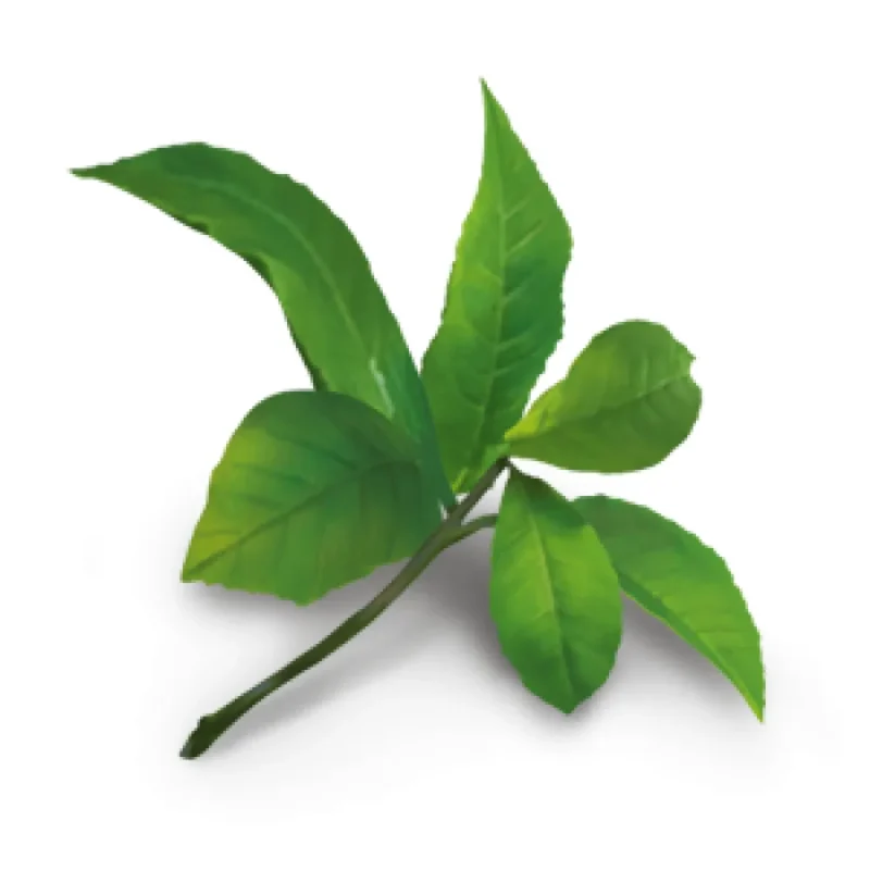 YOGI TEA Positive Energy