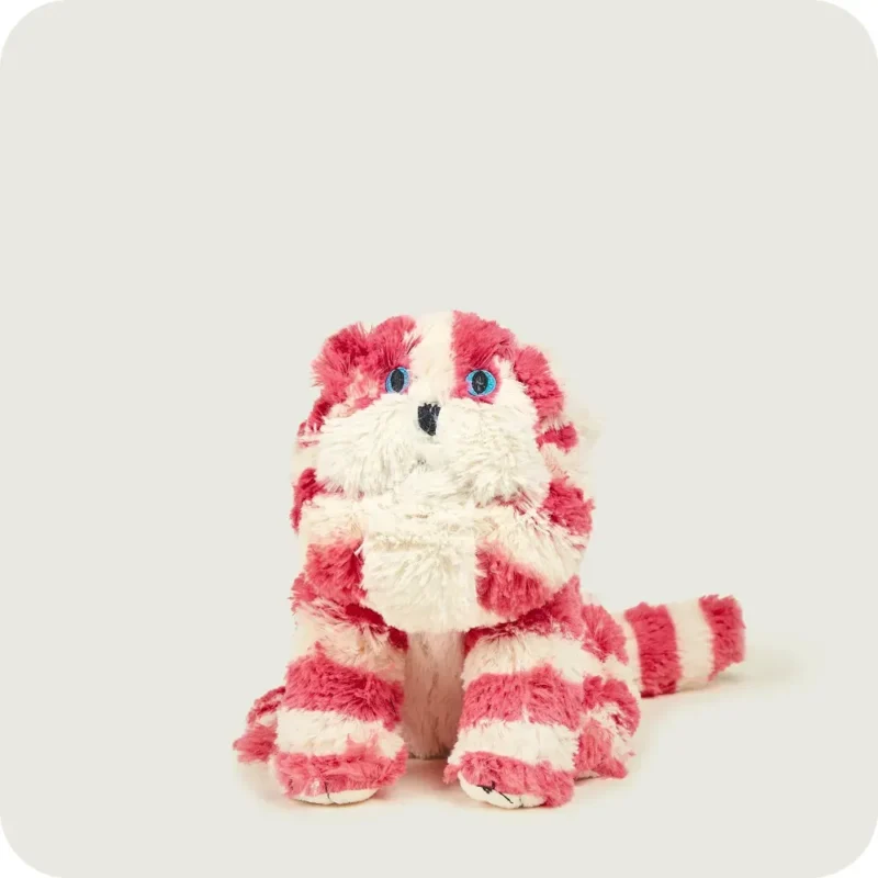 Warmies Bagpuss Γάτα