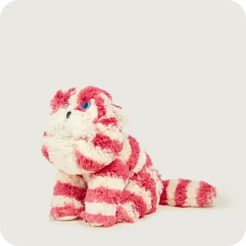 Warmies Bagpuss Γάτα