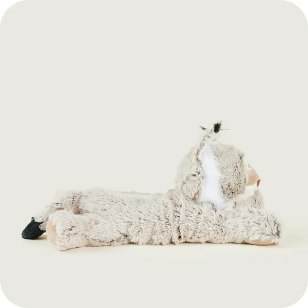 Warmies Αγριόγατα